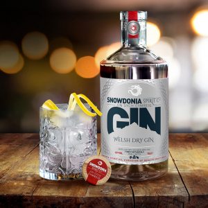 welsh dry gin